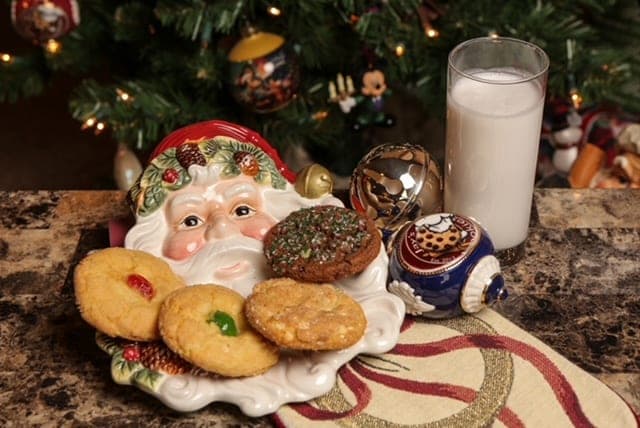 Holiday cookies on a Santa plate with a glass of milk by a Christmas tree