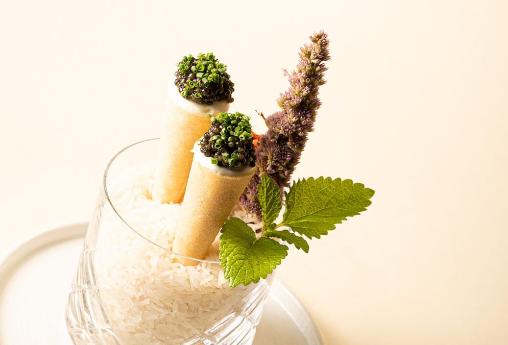 Caviar cones at Oak Park